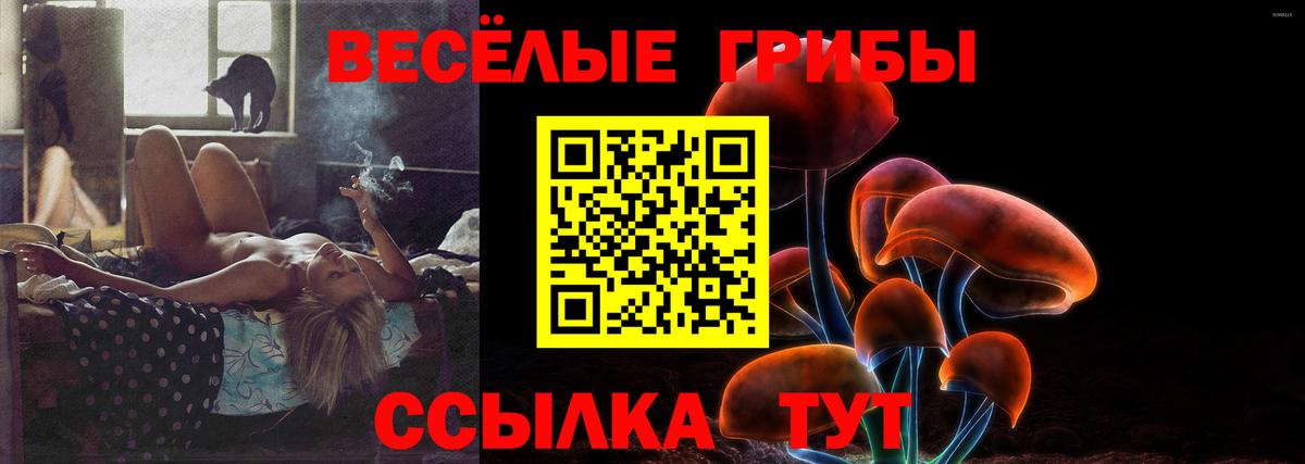 Галлюциногенные грибы MAGIC MUSHROOMS Новоалтайск